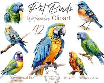 42 Exotic Watercolor Birds Clipart Bundle, Spring Birds PNGs, Tropical Birds Illustrations, Bird Sublimation designs, Commercial Use