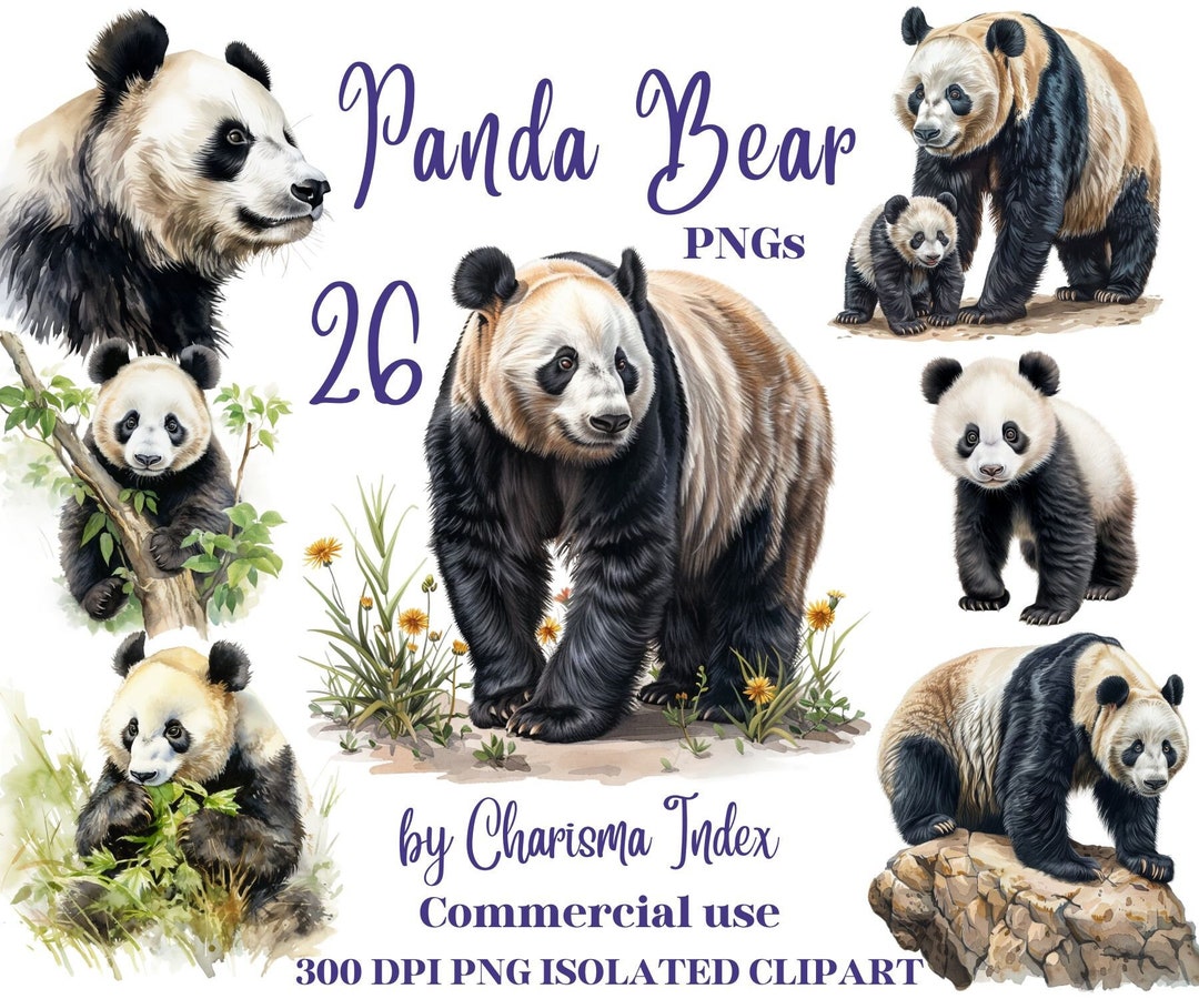 Aquarel Panda Bear Clipart Bundle - 26 realistische PNG-illustraties voor  Panda, natuurontwerpen - transparante achtergrond, commercieel gebruik -  Etsy België, image size:1080x900