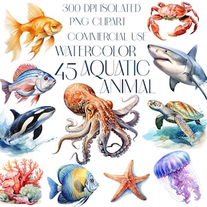Unterwasserkreaturen Bundle, Aquarell Ocean Life Clipart-Set von Fischen, Walen, Schildkröten, Delfinen, Haien, Wassertier PNG, kommerzielle Nutzung