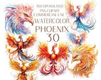 Magisches Phoenix Aquarell PNG Set, Mythisches Phoenix 30 Clipart Bundle, Phoenix Sublimationsdesigns, Phoenix Kunstsammlung, kommerzielle Nutzung