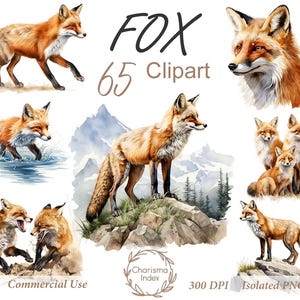 Watercolor Woodland Fox PNG, Fox Clipart Bundle, Autumn Fox Sublimation Designs, Woodland Fox Design Digital Download, Commercial use