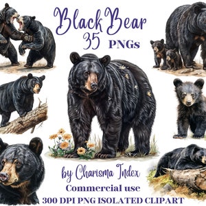 Peut inclure: Un ensemble de 35 illustrations numériques d'ours noirs. Les ours sont représentés dans diverses poses, notamment debout, assis et marchant. Les images sont en haute résolution et parfaites pour une utilisation dans des projets numériques.