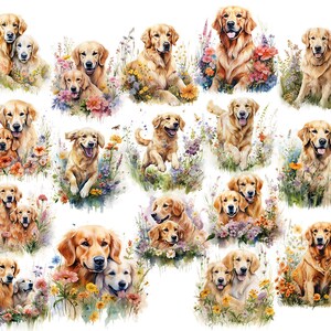 May include: A collection of watercolor illustrations featuring Golden Retrievers. The dogs are depicted in various poses, surrounded by colorful flowers and greenery. The artwork has a soft, painterly style with a focus on the dogs' friendly expressions.