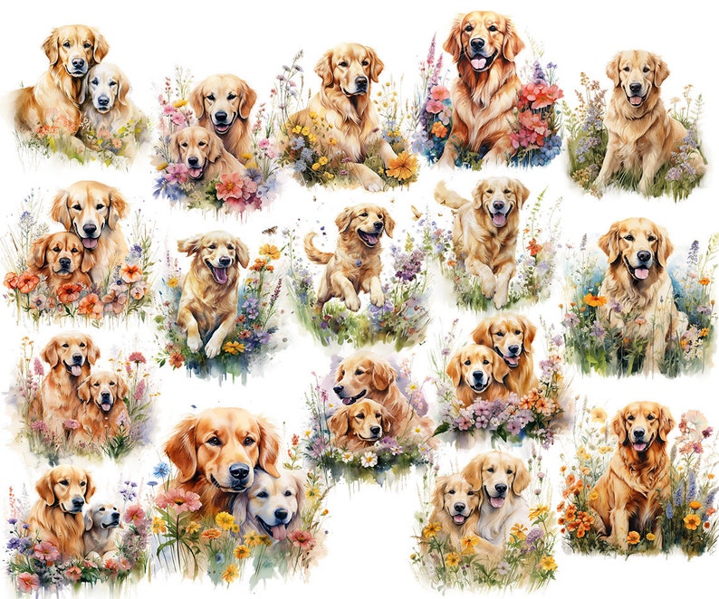 May include: A collection of watercolor illustrations featuring Golden Retrievers. The dogs are depicted in various poses, surrounded by colorful flowers and greenery. The artwork has a soft, painterly style with a focus on the dogs' friendly expressions.