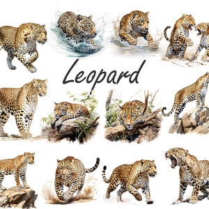 Aquarell Leopard PNG, Leopard Clipart Bundle, Leopard Sublimation Designs, Wild Cats Clipart Design Digitaler Download, kommerzielle Nutzung Bild 4