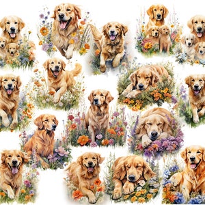 May include: A collection of watercolor illustrations featuring Golden Retrievers in various poses. The dogs are surrounded by colorful wildflowers, with some illustrations showing puppies. The artwork has a soft, painterly style.