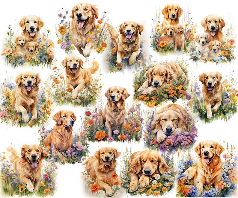 May include: A collection of watercolor illustrations featuring Golden Retrievers in various poses. The dogs are surrounded by colorful wildflowers, with some illustrations showing puppies. The artwork has a soft, painterly style.