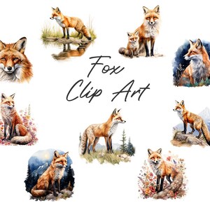 May include: Watercolor illustrations of foxes in various poses. The image includes a close-up of a fox's face, a fox standing near water, and foxes in natural settings. The text "Fox Clip Art" is written in cursive.