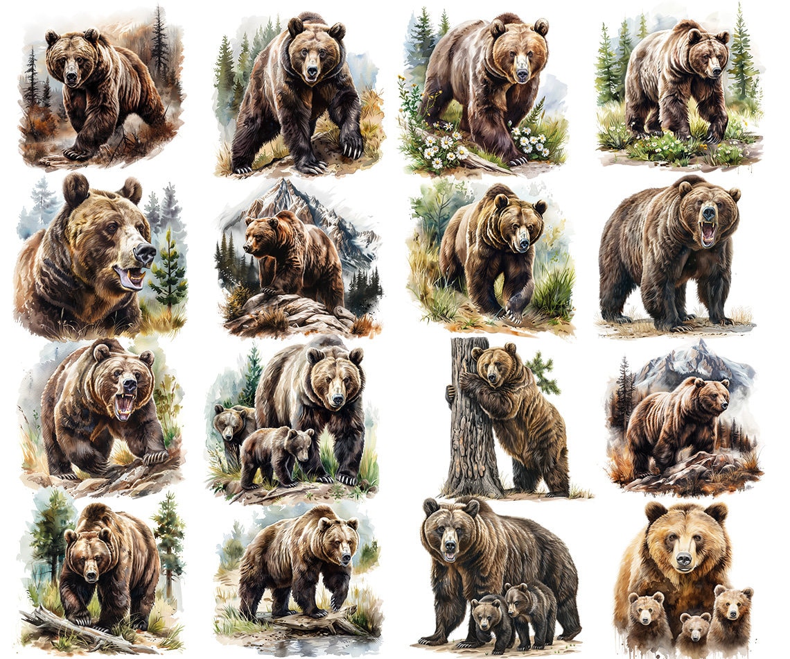 Watercolor Grizzly Bear Clipart Bundle - 48 Grizzly Bear PNG ...