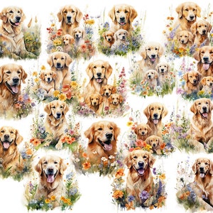 May include: Watercolor illustrations of Golden Retrievers and puppies surrounded by colorful wildflowers. The dogs have a golden coat and are depicted in various poses, some with their tongues out. The artwork has a soft, painterly style.