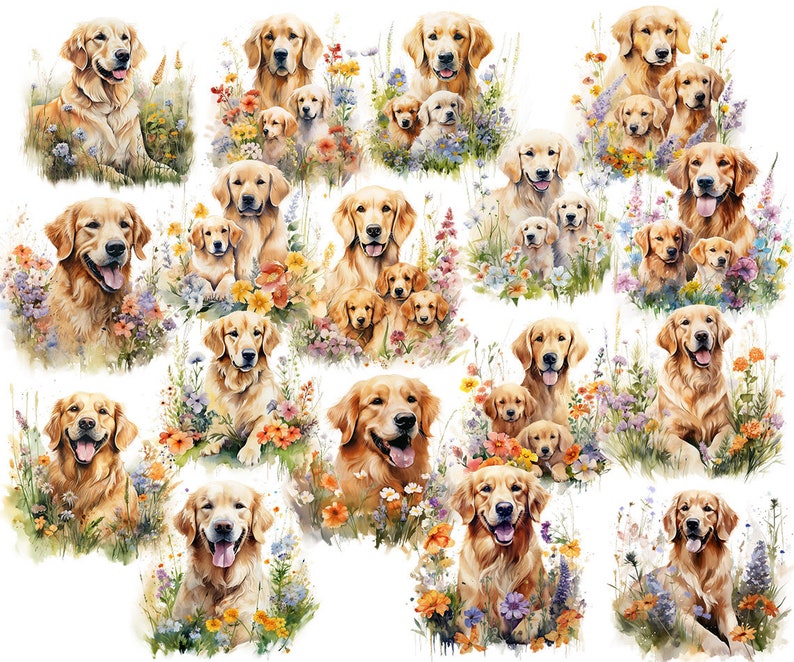 May include: Watercolor illustrations of Golden Retrievers and puppies surrounded by colorful wildflowers. The dogs have a golden coat and are depicted in various poses, some with their tongues out. The artwork has a soft, painterly style.