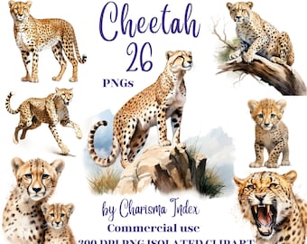 Watercolor Cheetah Clipart Bundle - 26 Realistic PNG Illustrations for Wildlife, Big Cats Designs - Transparent Background, Commercial Use