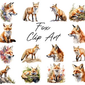 May include: A collection of watercolor fox clip art images. The foxes are depicted in various poses, with orange and white fur. Some images include floral accents and natural settings. The text "Fox Clip Art" is written in cursive.
