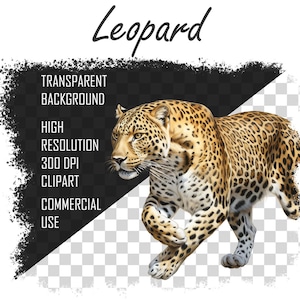 Aquarell Leopard PNG, Leopard Clipart Bundle, Leopard Sublimation Designs, Wild Cats Clipart Design Digitaler Download, kommerzielle Nutzung Bild 5