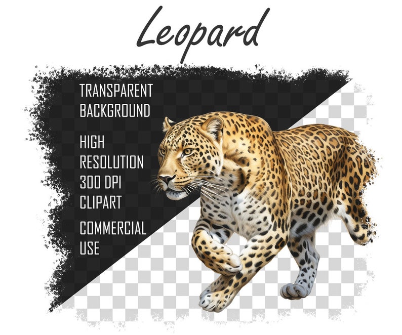 Aquarell Leopard PNG, Leopard Clipart Bundle, Leopard Sublimation Designs, Wild Cats Clipart Design Digitaler Download, kommerzielle Nutzung Bild 5