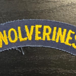 VIntage Michigan Wolverines letter patch