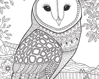 barn owl coloring sheet
