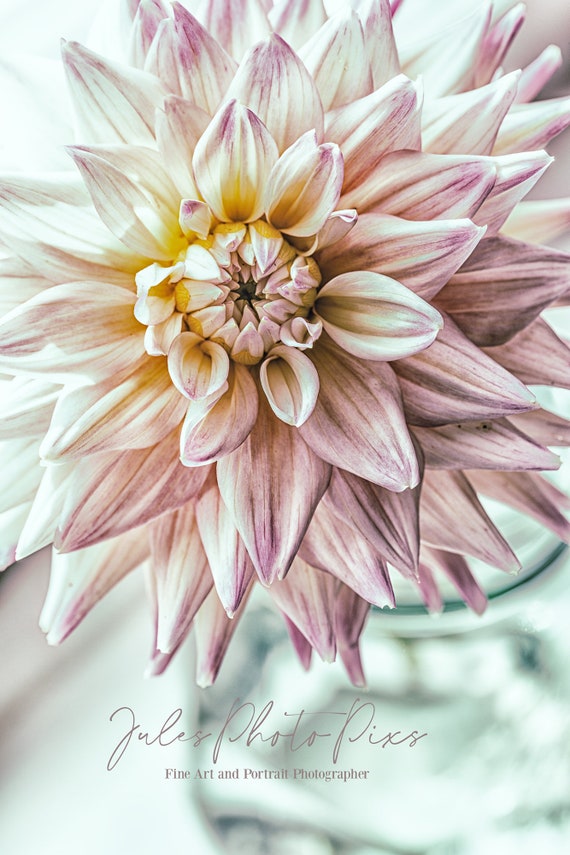 Summer Love (photo print). Un-matted and unframed.