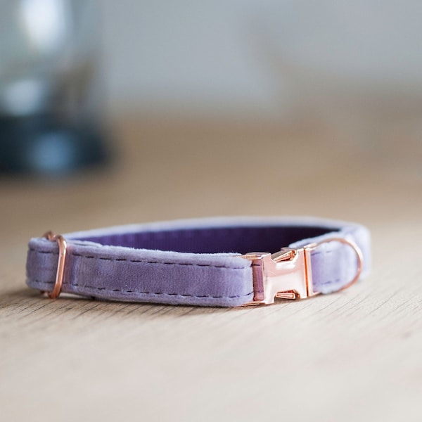 Lux Soft Lilac Velvet Dog Collar with Rose Gold | Tiny pups Miniature toy breeds