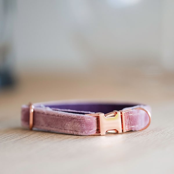 Tiny Soft Pink Velvet Dog Collar with Rose Gold | Miniature toy breeds