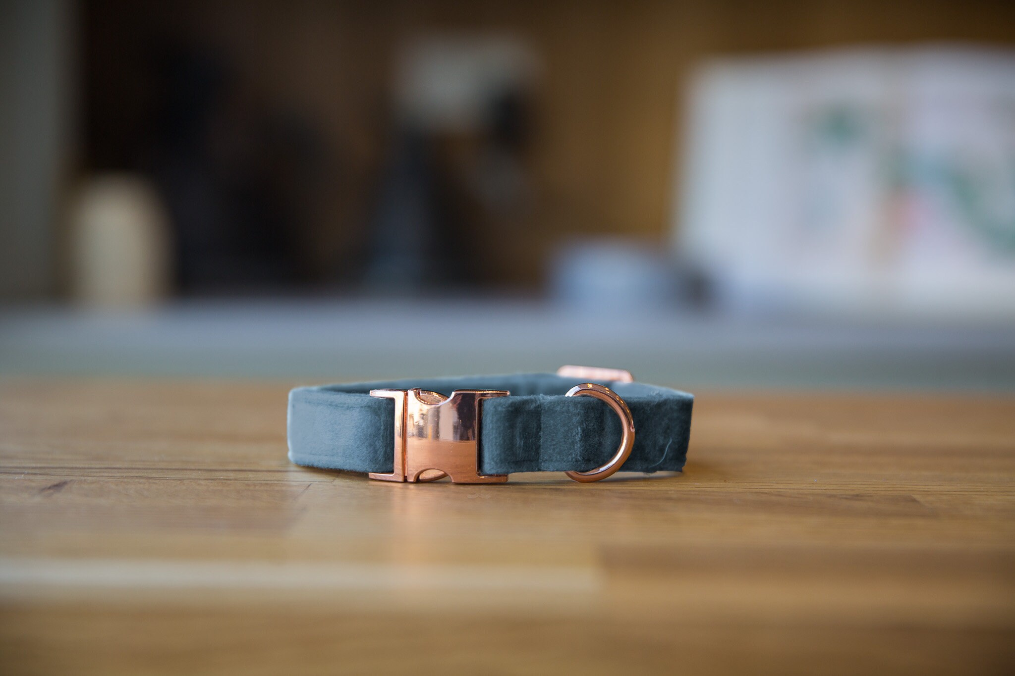 blue velvet dog collar