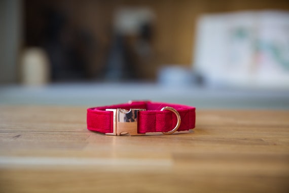 ruby red dog collar