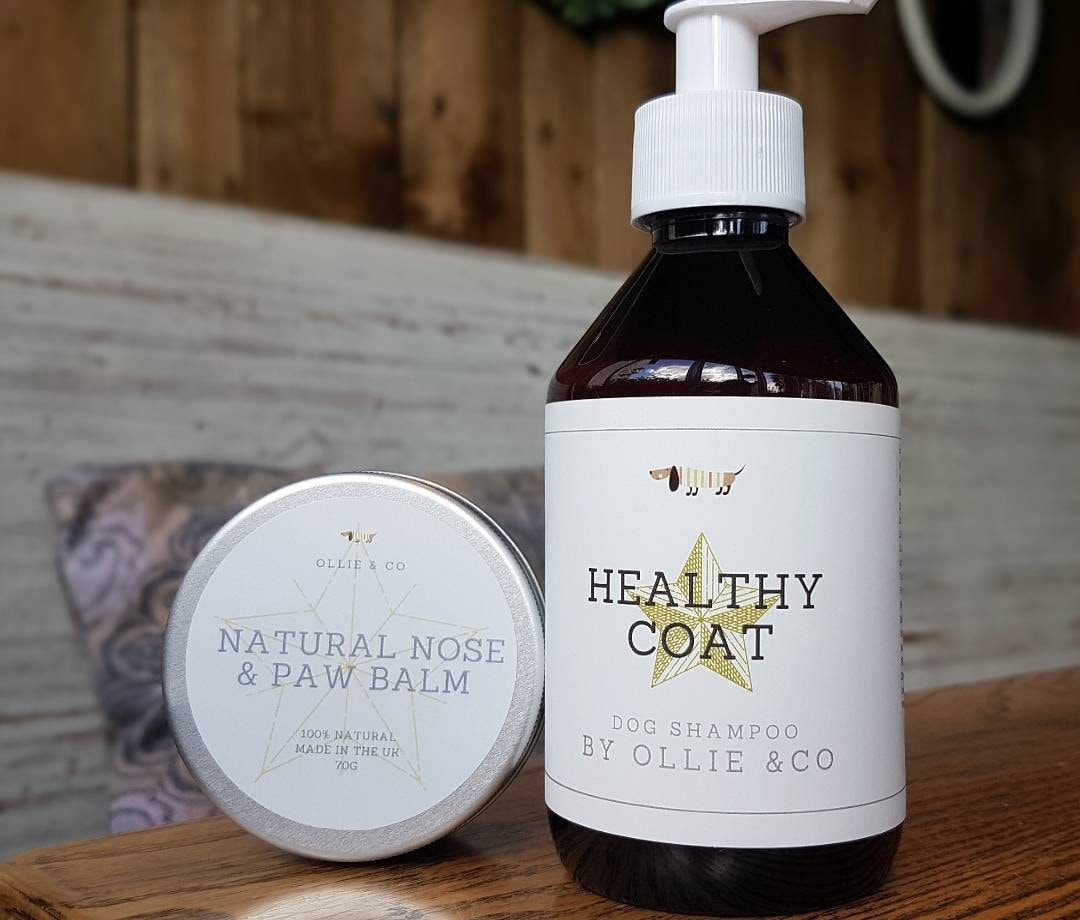 sweet orange essential oil and dogs