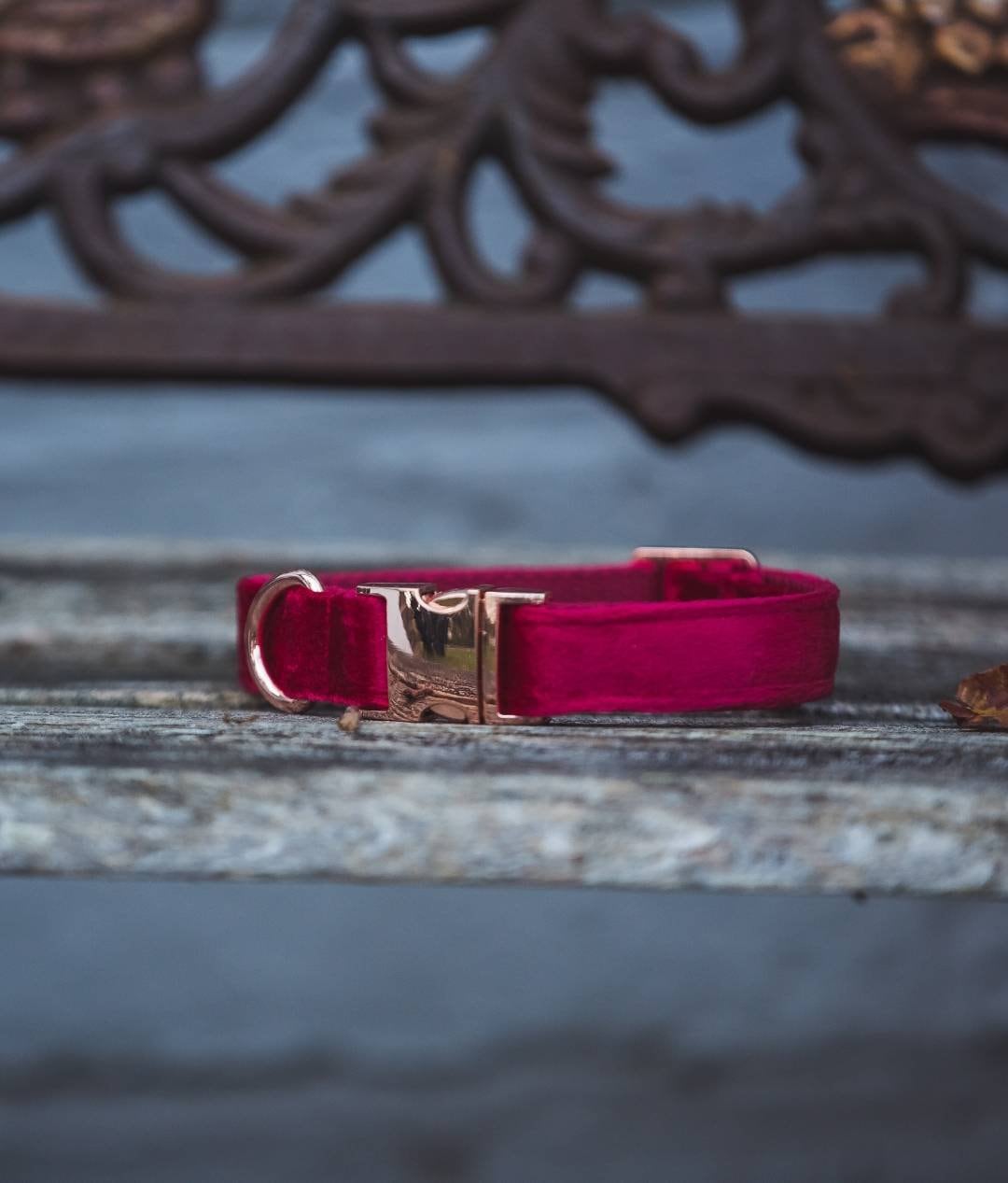 red velvet dog collar