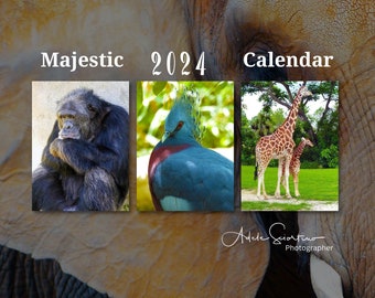 2024 Majestic Wall Calendar by Adele Sciortino, Artist Photographer