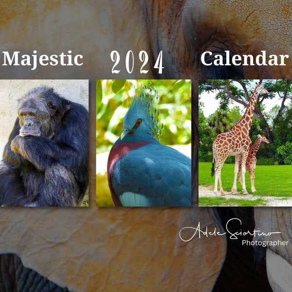Adele 2024 Calendar Etsy