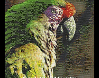 Beaded Tapestry Green Wing Macaw EPattern by Adele Sciortino, Photographer/Graphic Designer