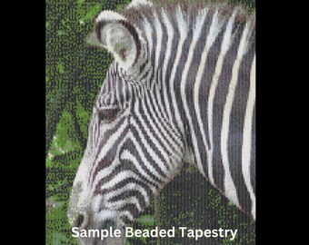 Beaded Tapestry Zebra EPattern by Adele Sciortino, Photographer/Graphic Designer