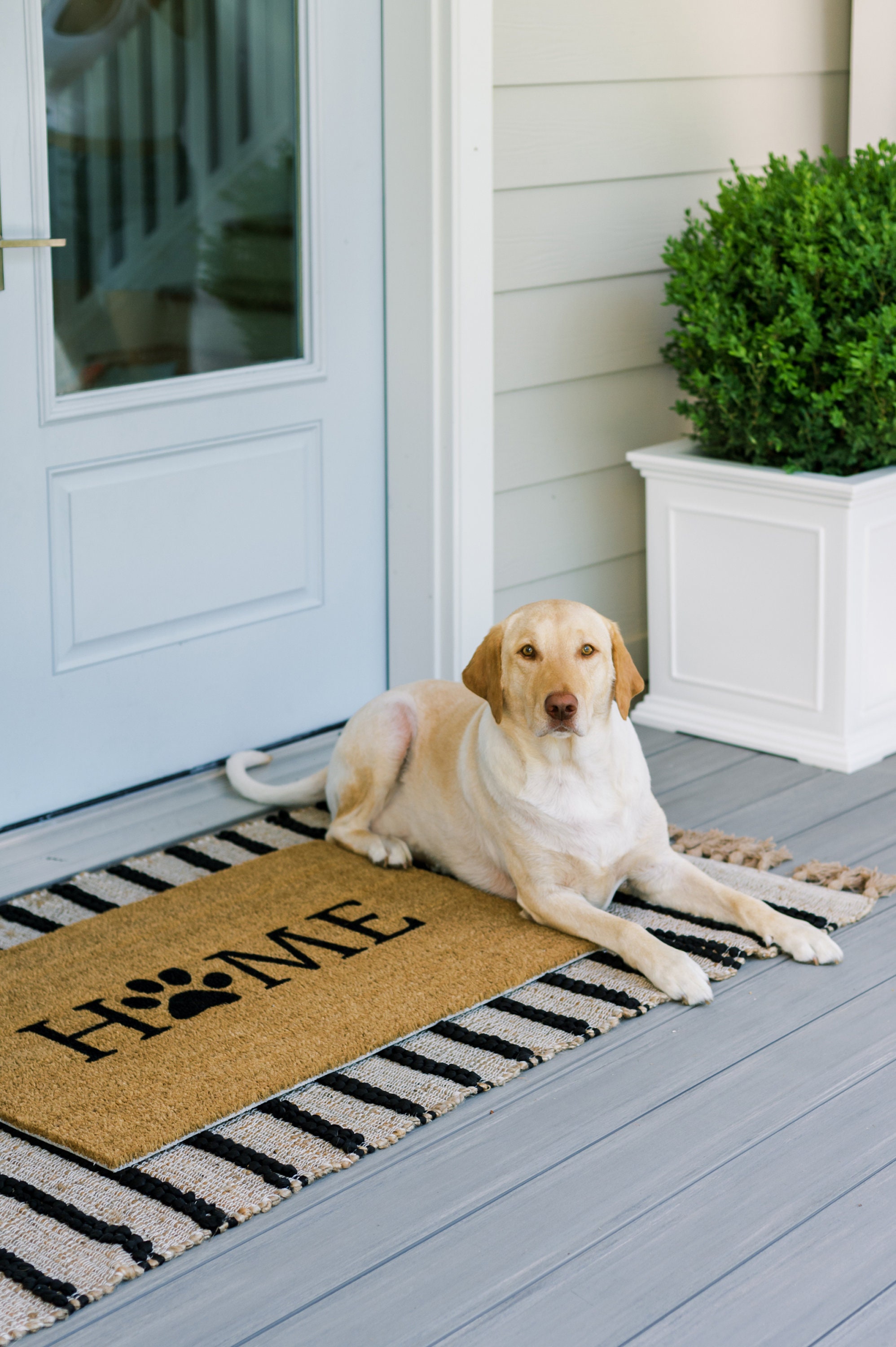 Home Dog Paw Doormat I Love Dogs Puppy Doormat Custom Mat Must Love  Dogs Dog Gift Gift Dog Doormat