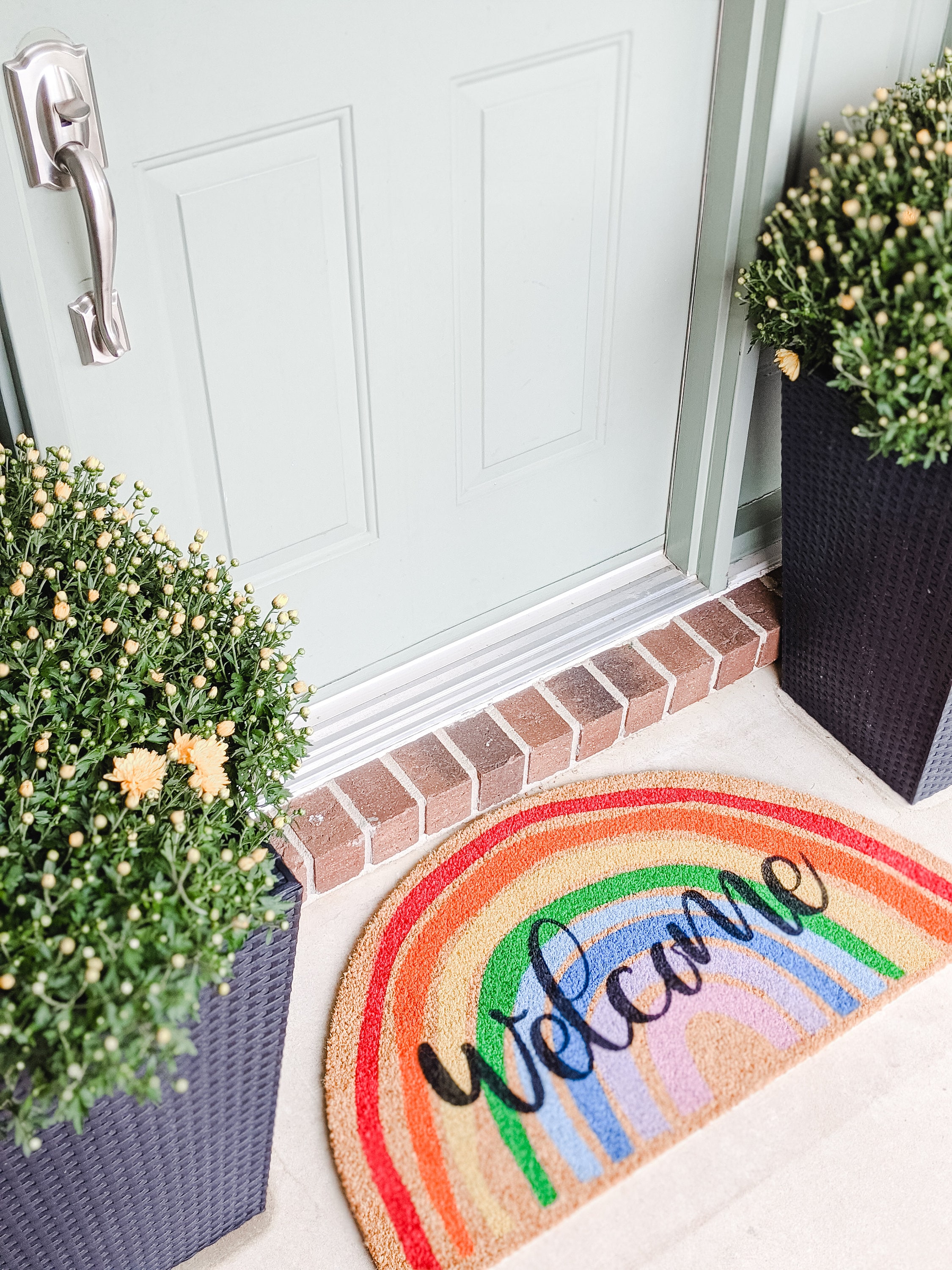 Nicoman Rainbow Pride Doormat Dirt-Trapper Door mat Non-Slip Indoor Outdoor  Mat