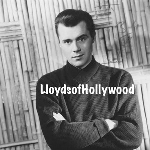 Dirk Bogart Handsome Actor  International Star  Studio Photograph 1960