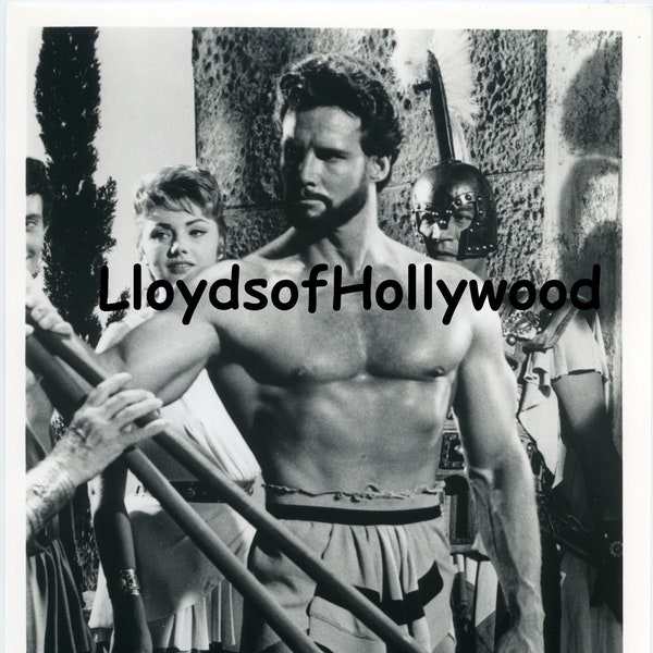 Steve Reeves  Bodybuilder Hunk Hercules Beefcake Photograph  1960