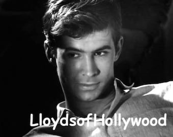 Anthony Tony Perkins Handsome Hollywood Actor   Photograph 1960
