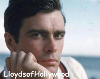 Gardner McKay Handsome  Hollywood TV Actor Adventures In Paradise  Captain of His Ship Close Up  Photograph 1960