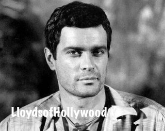 Gardner McKay Handsome  Hollywood TV Actor Adventures In Paradise  Captain of His Ship Photograph 1960