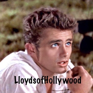 James Dean Handsome Hollywood Legend East Of Eden Blue Eyes  Photograph 1955