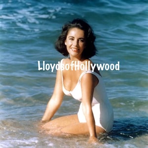 Elizabeth Taylor Suddenly Last Summer Cleavage In White Bathing Suit Beautiful Alluring Victim Photograph  1959