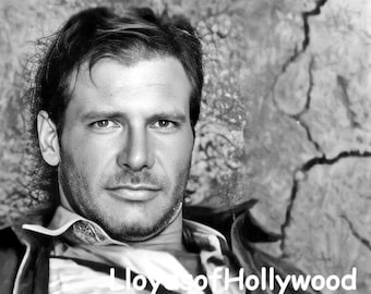 Harrison Ford  Handsome Hollywood Actor Movie Star Indiana Jones Raiders of the Lost Ark Photograph 1981