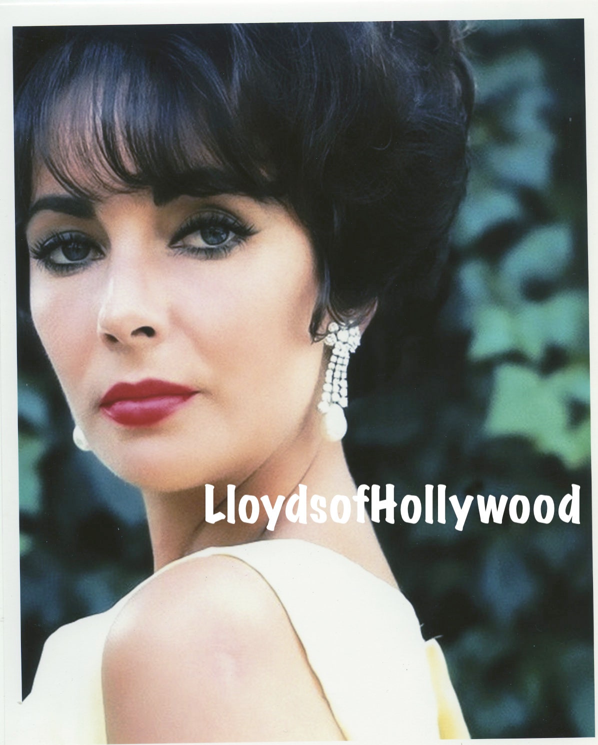 Elizabeth Taylor Hollywood Star Violet Eyes Close Up  Photograph  1959