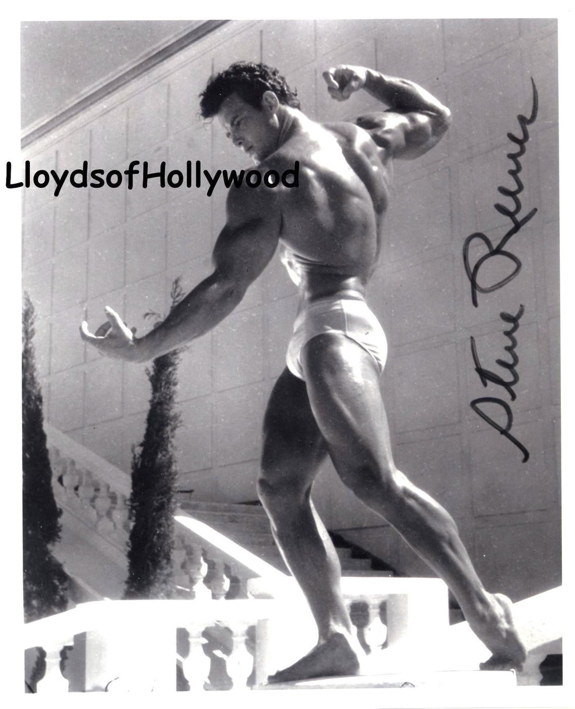 Autograph Bodybuilder Steve Reeves Actor Mr America Mr Universe Muscular Bodybuilder Printed ...