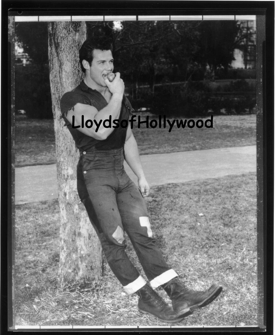 Steve Reeves Eating Apple Test Li'l Abner Photograph 1959 - Etsy