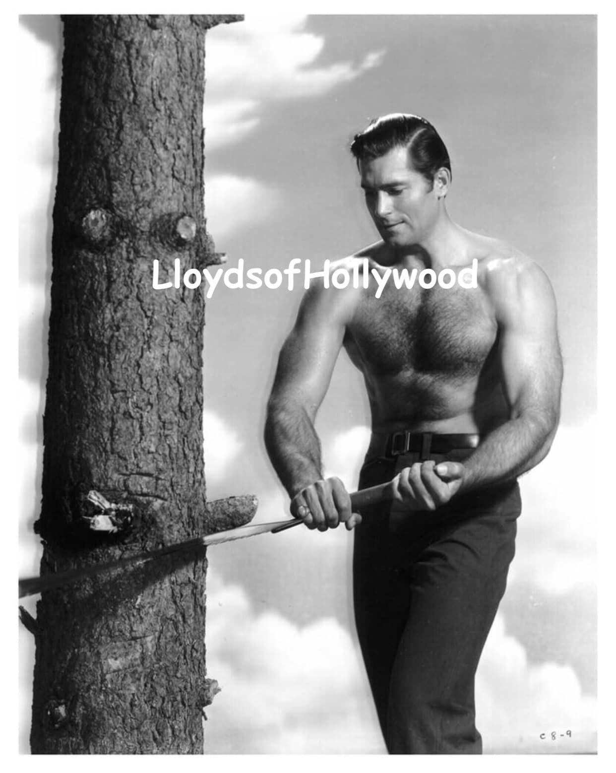 Clint Walker Cheyenne Bodie Handsome Actor TV Hunk Hairy Chest Sawing