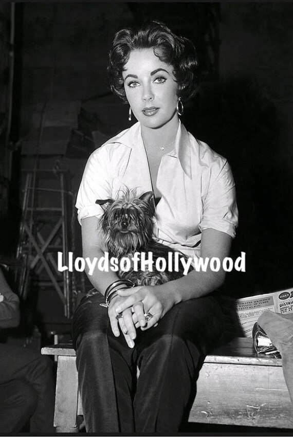 エリザベス・テイラー、熱いトタン屋根の上の猫と愛犬の写真（1958年