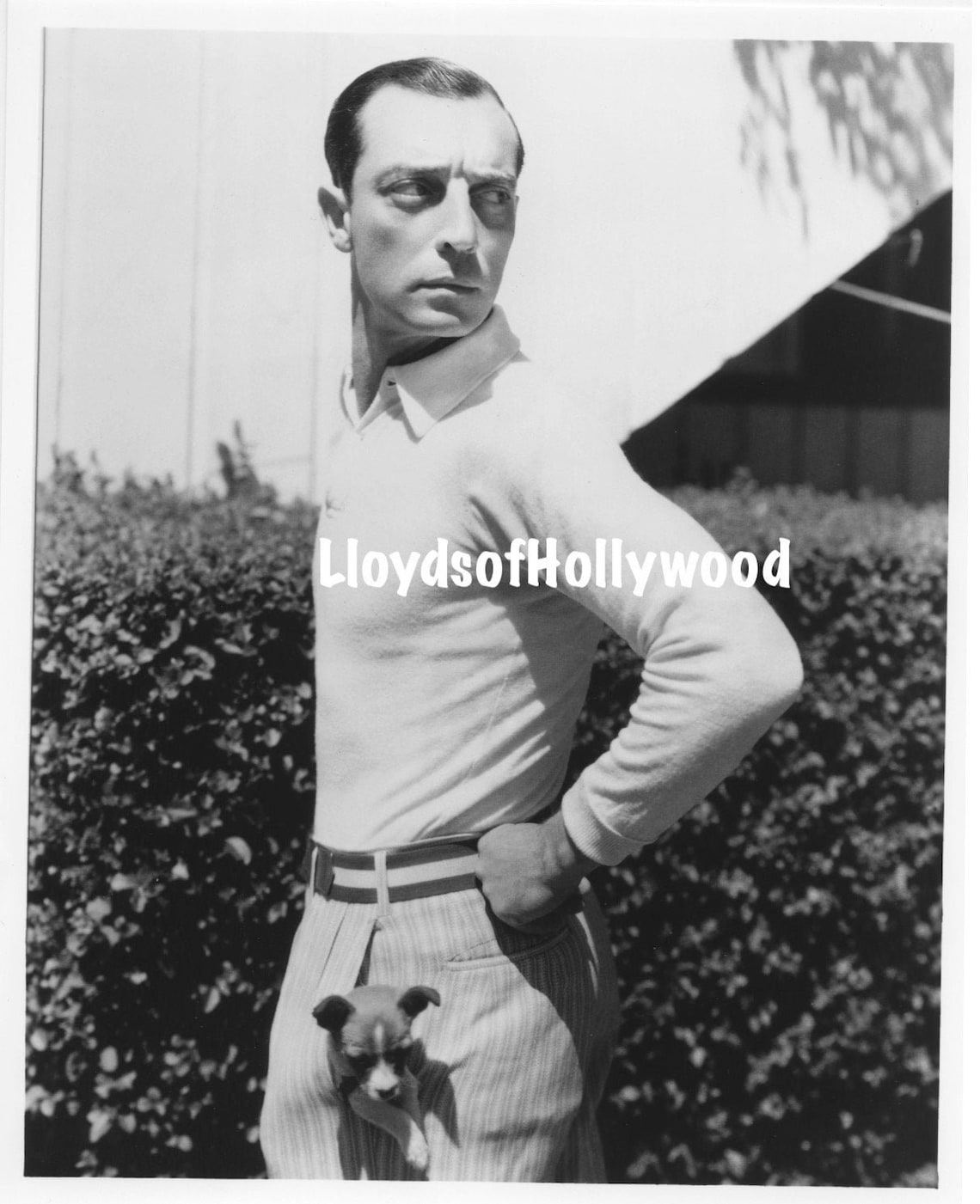Buster Keaton Handsome Silent Film Star With Puppy in Pocket Etsy