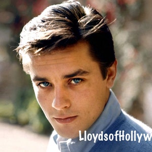 Alain Delon Handsome French Actor International Star Close Up Purple Noon Photograph 1960