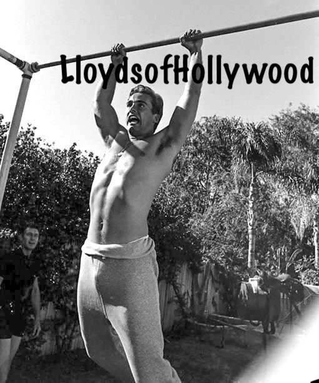 Errol Flynn - FILMES ONLINE